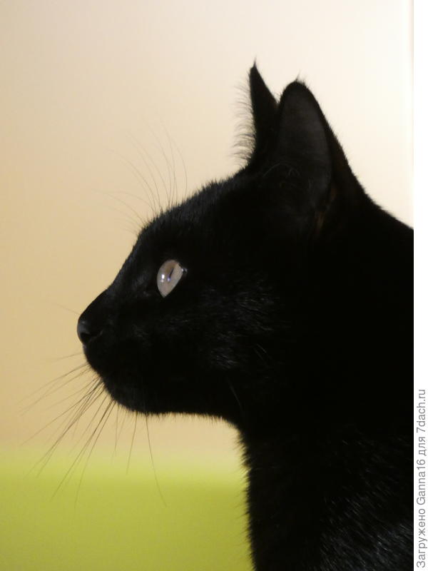 Тёма подрос