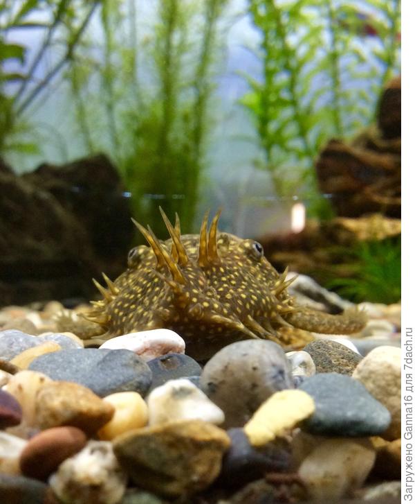 Редко с такого ракурса заснять получается