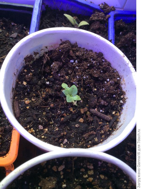 Утешаю себя тем, что у меня всё ещё только впереди.