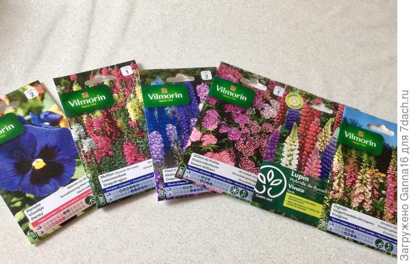 Сегодня прикуплены семена, в добавок к уже имеющимся. Куда сажать буду ...? Не знаю.....