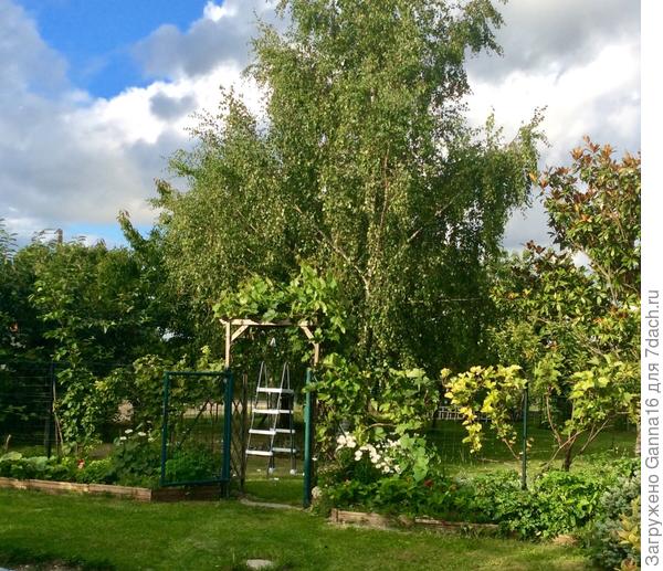 ..... а отсюда можно так!