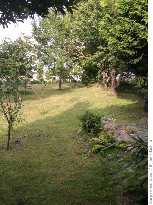 А отсюда виден сад....