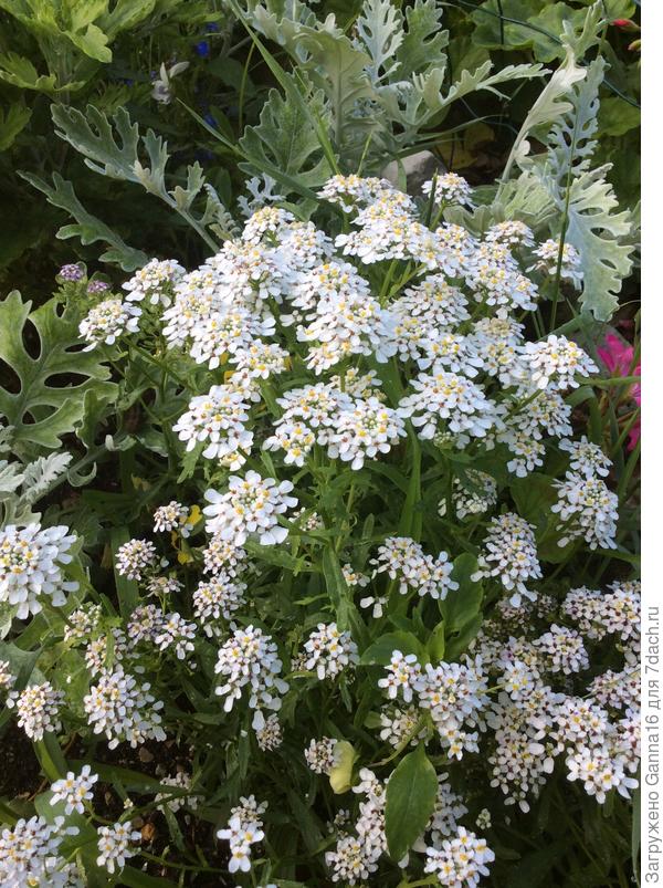 Оставайся такой же лёгкой и весёлой!