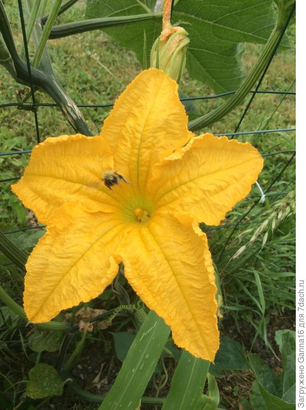 Летим домой