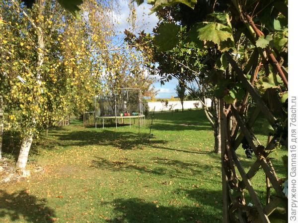 И вообще - красота!