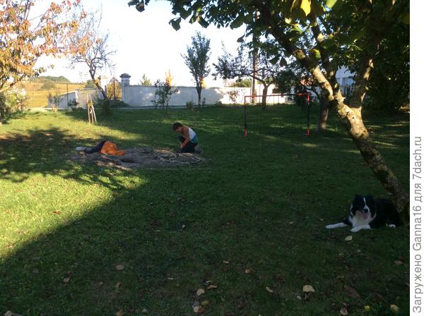 Копают прямо посередине лужайки!