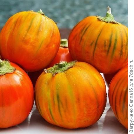 «Африканский» , родом из Турции.  Пишут обладает насыщенным вкусом с кислинкой