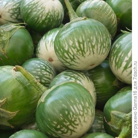 «Тайские». Говорят, что можно употреблять как в кулинарии, так и в сыром виде