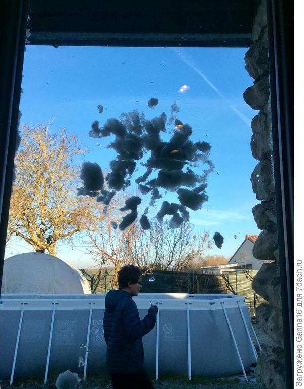 Снежок прилетел в окно