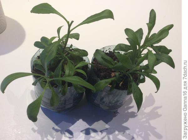 На сегодняшний день