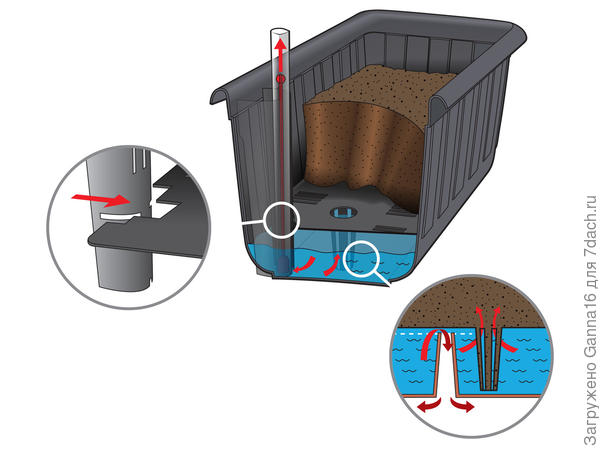 Работает приблизительно вот так. Фото https://offers.kd2.org/fr/fr/lidl/pdeyA/