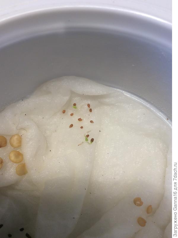 Не стратифицированную пора сеять