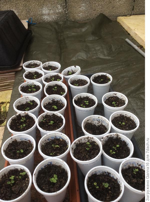 Вынесла пока на пару часов