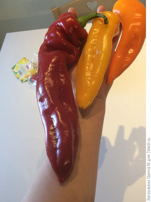 Буду сравнивать с Палермо. Так то, они тоже сладкие. Жаль сорт не указан.