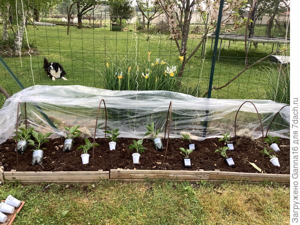 Подготовка посадки