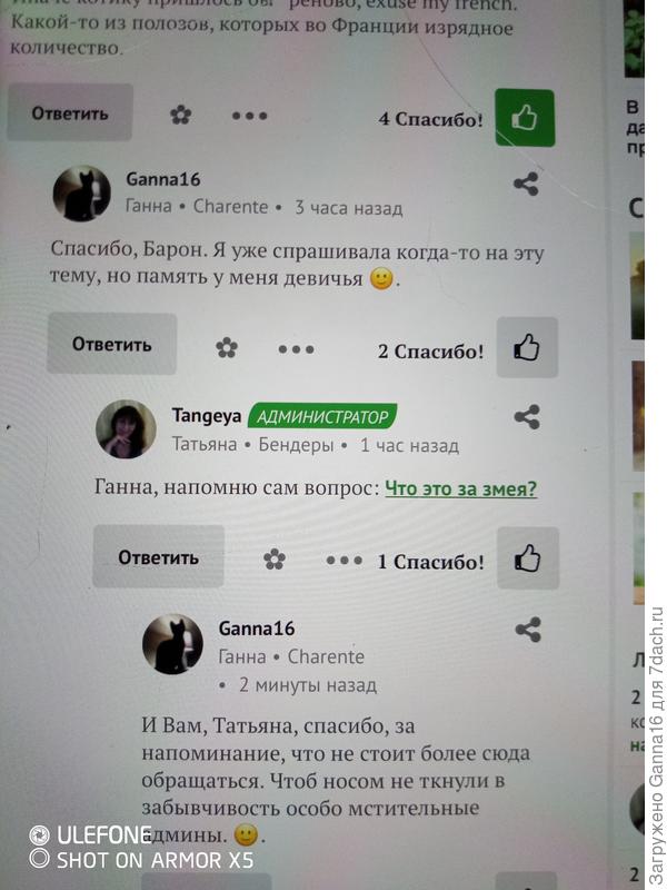 Дубль первый. Для любителей подчистить ответы.