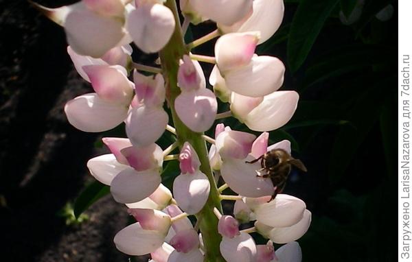 где тут вход в столовую?