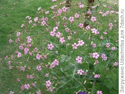 Фото из интернета