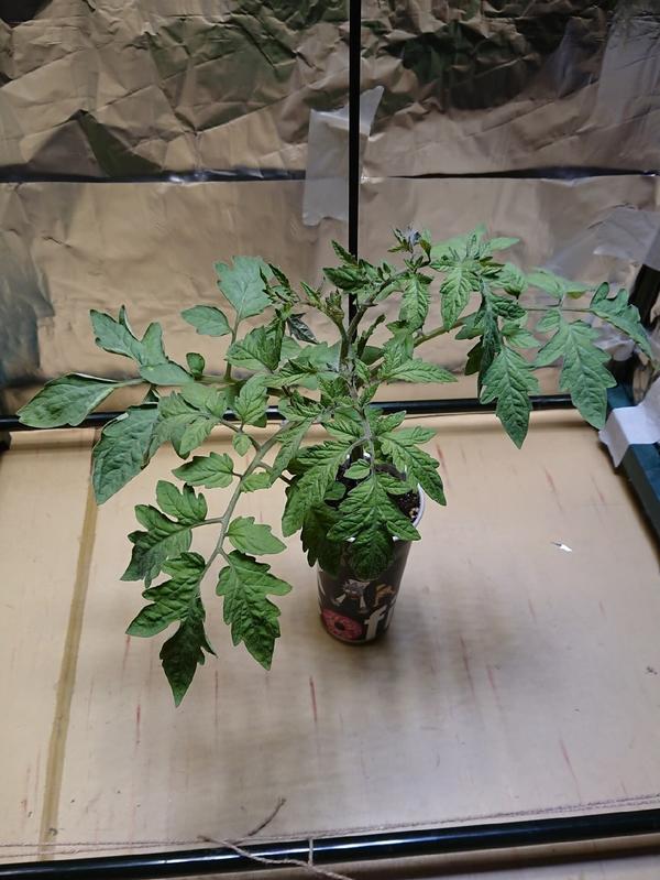 Емкость мала