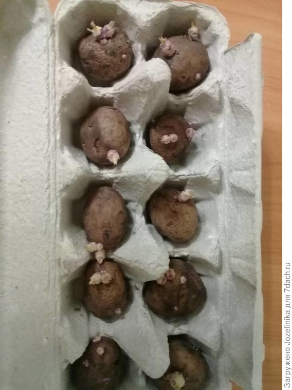 Жуковский ранний