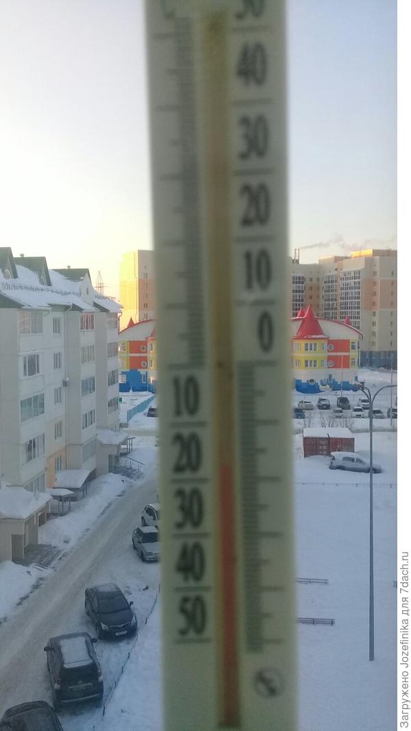 В Ханты-Мансийске очередное потепление))