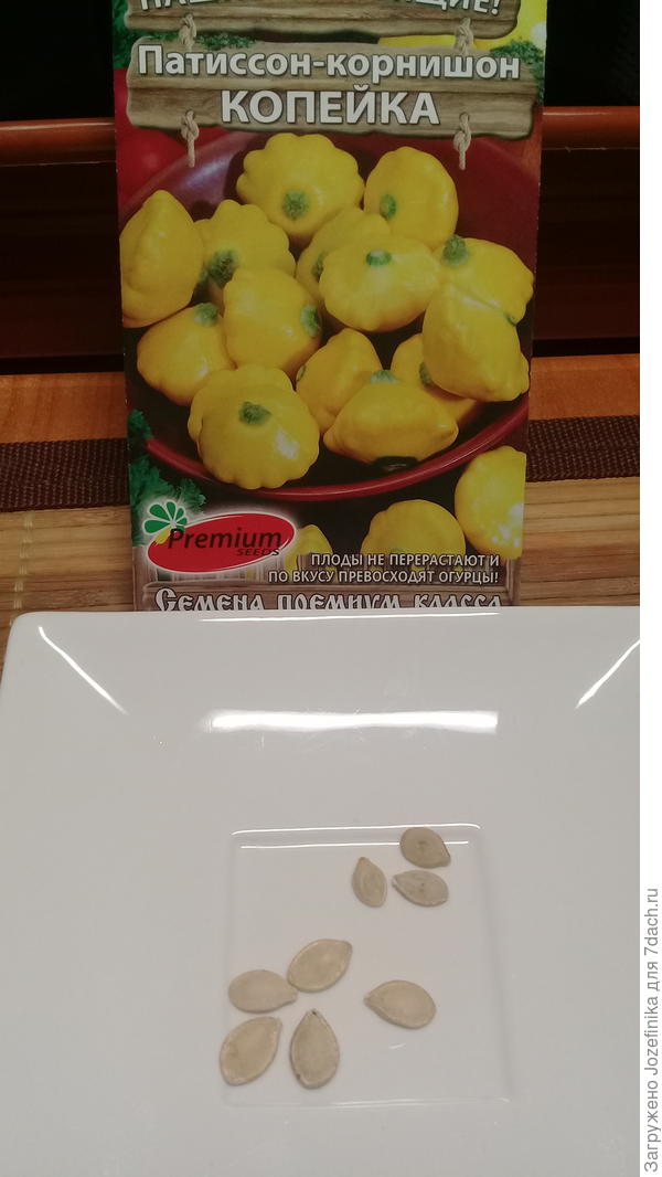 семена