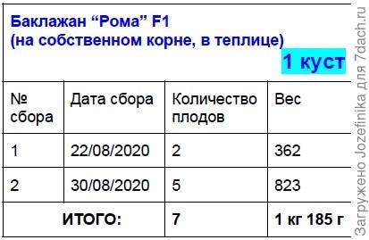 Рома на собственном корне