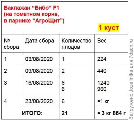 Урожай Бибо, 1 куст