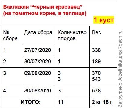 Черный красавец