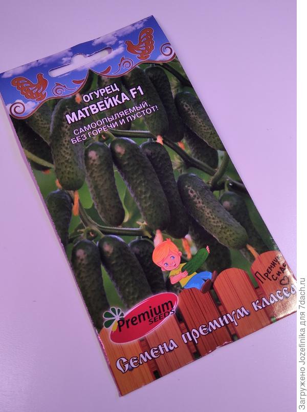 Матвейка!