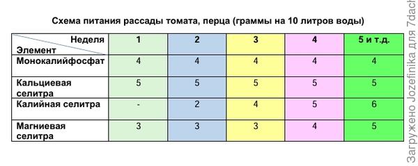 Схема питания после перевалки до высадки на грядку