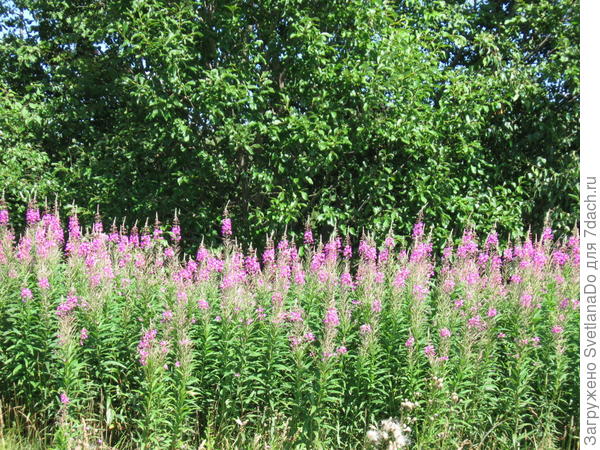 на нашем любимом месте