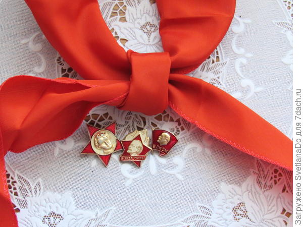 мои школьные