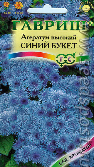 агератум