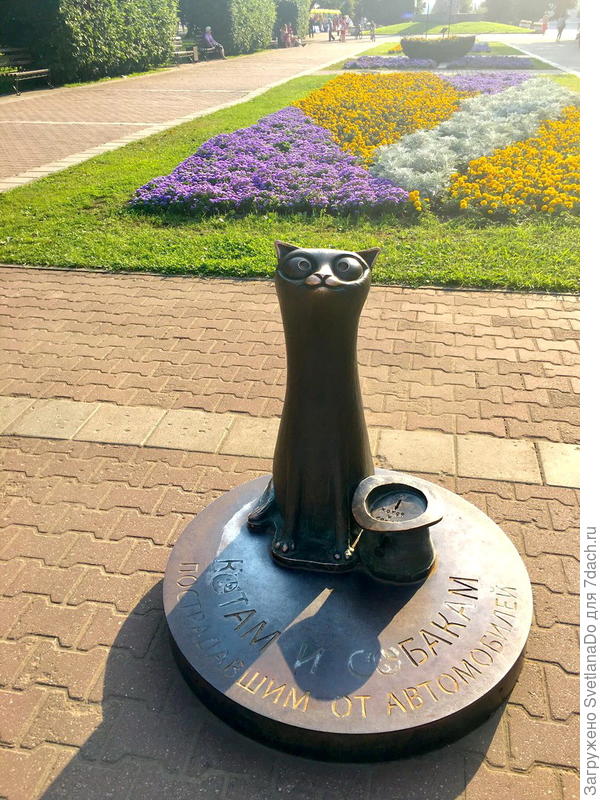 памятник коту
