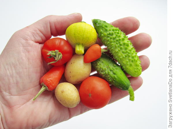 мини-овощи