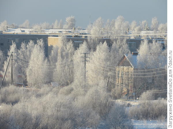 вид из окна