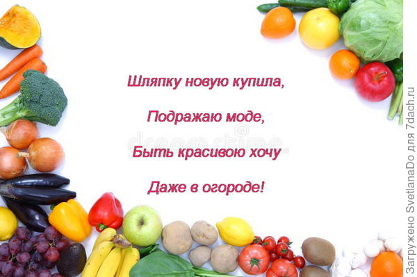 частушечки