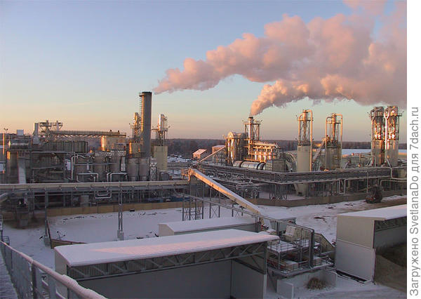 фото из интернета