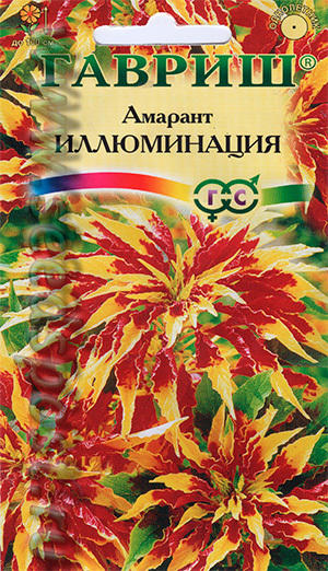 амарант
