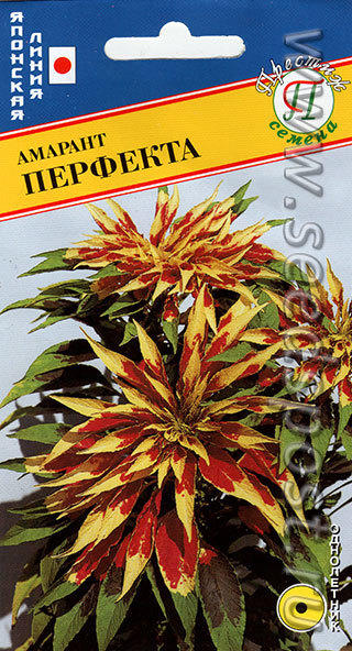 амарант