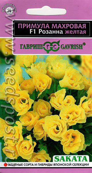 Примула "Розанна"