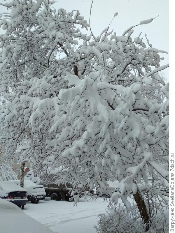 Наше утро, 22 апреля