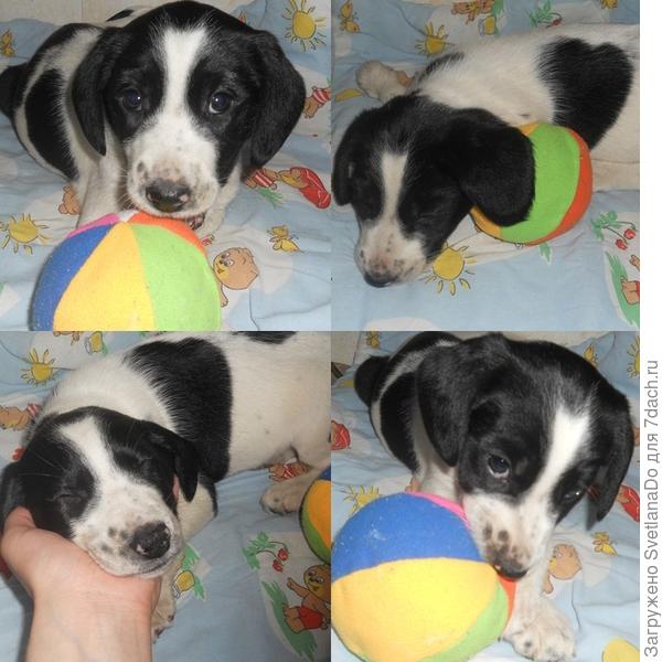 такой малышкой нашли