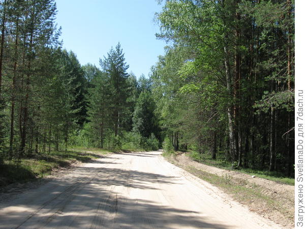 Дорога,ведущая в бор
