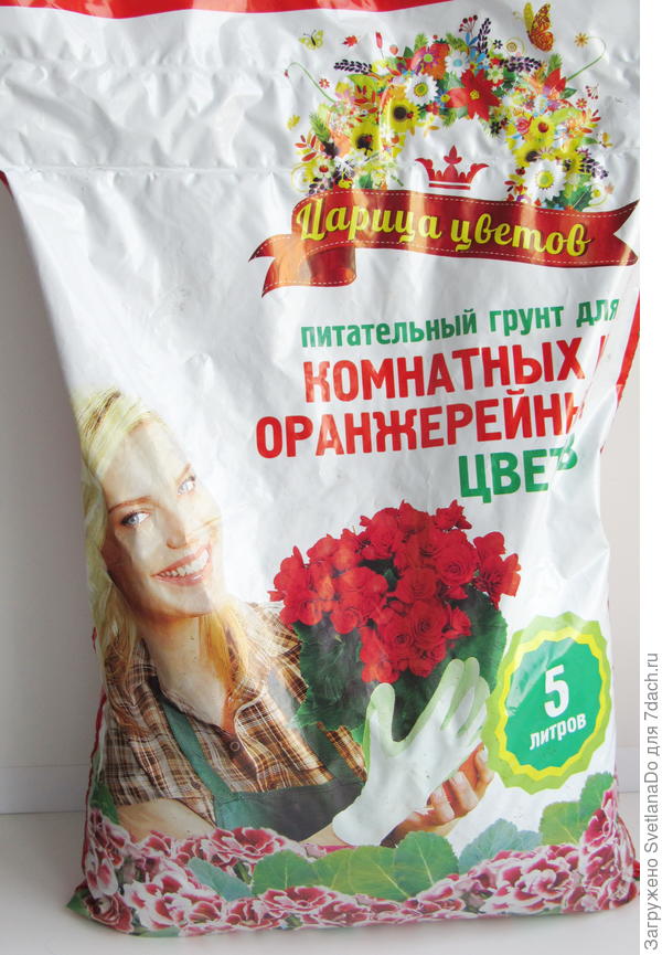 приз