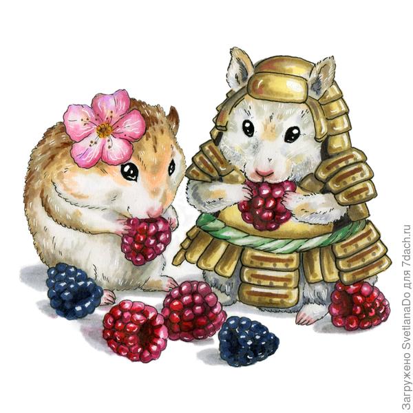 Семейная пара хомяков