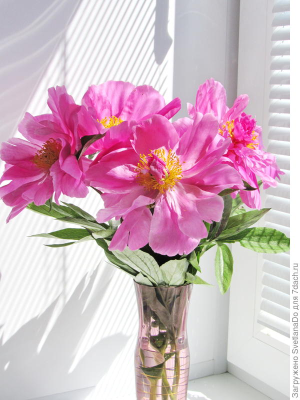 а такие теперь