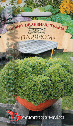 томат