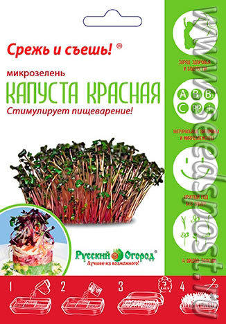 томат